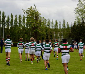 杏彩体育在线登录-重庆队主场胜利，全队士气大振，战斗力全面提升